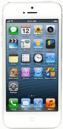 Смартфон Apple iPhone 5 64Gb White & Silver - Искитим